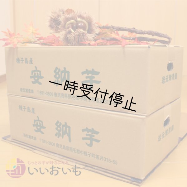 画像3: 安納芋　Sサイズ(2箱セット)<br><span class="red">【2024年度のご予約スタート！お届けは12月初旬予定！】</span><br /> (3)