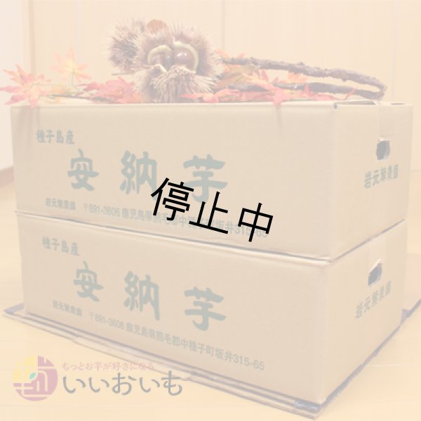 画像3: 訳あり安納芋(2箱セット) <span class="red">【選別後 収穫量を見て販売可能か判断いたします】</span><br /> (3)
