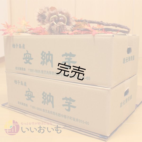 画像3: 安納芋　Lサイズ(2箱セット) <br><span class="red">【今シーズンの受付は終了いたしました】</span><br /> (3)