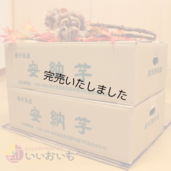 画像3: 安納黄金　コロコロサイズ(2箱セット) <br><span class="red">【今シーズンの受付は終了いたしました。】</span><br /> (3)