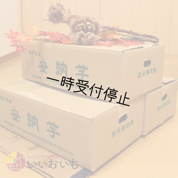 画像3: 安納芋　Sサイズ(3箱セット) <br><span class="red">【2024年度のご予約スタート！お届けは12月初旬予定！】 </span><br /> (3)