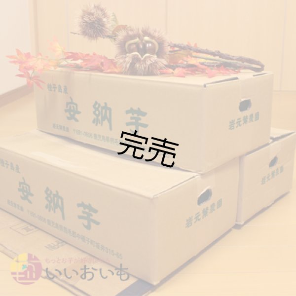 画像3: 安納芋　Lサイズ(3箱セット) <br><span class="red">【今シーズンの受付は終了いたしました】</span><br /> (3)