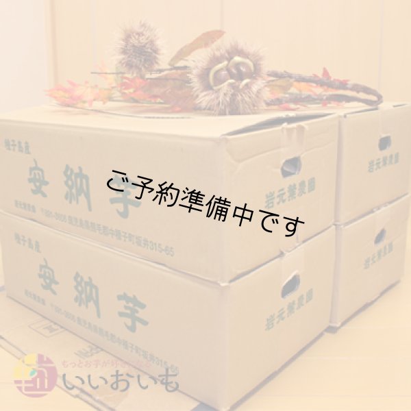 画像3: 安納黄金　コロコロサイズ(4箱セット) <br><span class="red">【2025年度のご予約開始まで今しばらくお待ちください】</span><br /> (3)