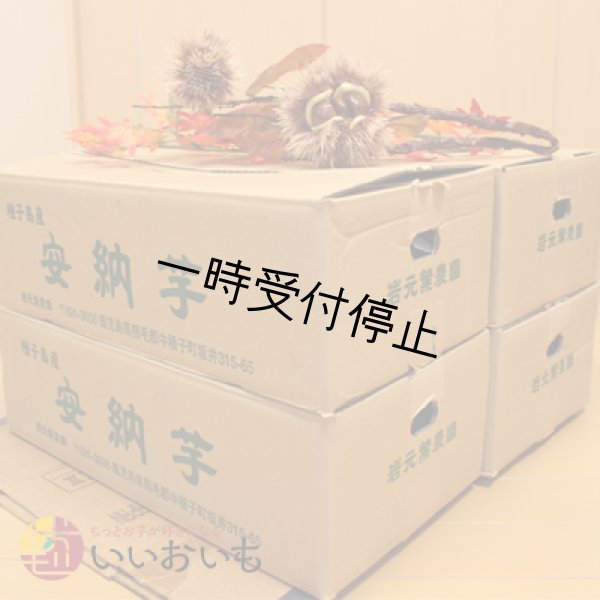 画像3: 安納芋　Sサイズ(4箱セット) <br><span class="red">【2024年度のご予約スタート！お届けは12月初旬予定！】</span><br /> (3)