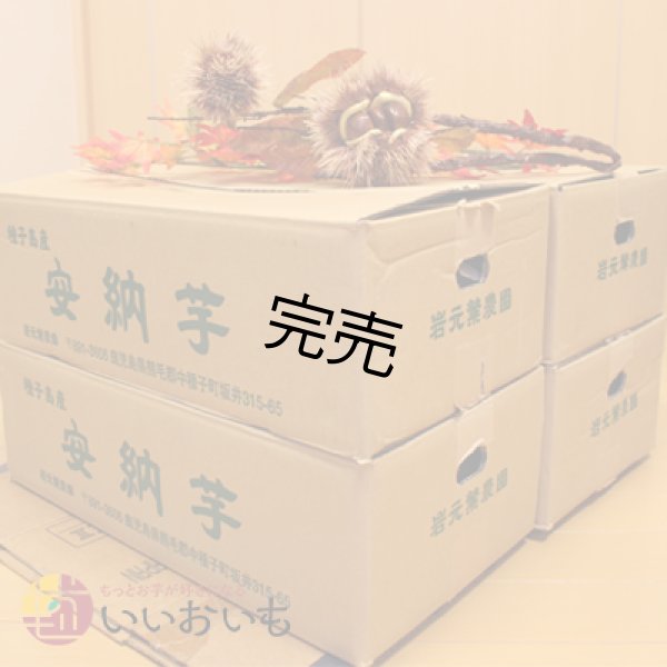 画像3: 安納芋　Sサイズ(4箱セット) <br><span class="red">【今シーズンの受付は終了いたしました】</span><br /> (3)