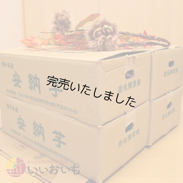 画像3: 安納黄金　コロコロサイズ(4箱セット) <br><span class="red">【今シーズンの受付は終了いたしました。】</span><br /> (3)