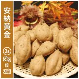 画像: 安納黄金　コロコロサイズ(2箱セット)   【2026年度ご予約開始】  