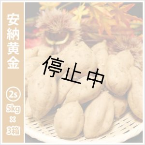 画像: 安納黄金 コロコロサイズ(3箱セット) 【停止中】
