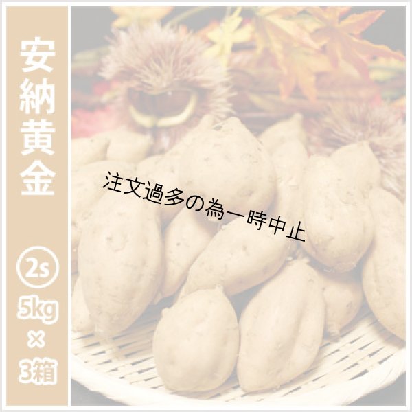 画像1: 安納黄金　コロコロサイズ(3箱セット) <br><span class="red">【2025年度のご予約受付中】</span><br /> (1)