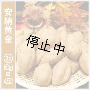 画像: 安納黄金 コロコロサイズ(4箱セット) 【停止中】