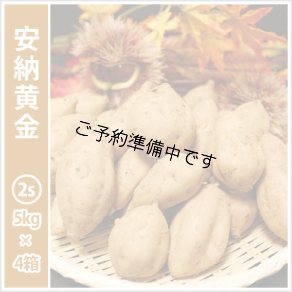 画像1: 安納黄金　コロコロサイズ(4箱セット) <br><span class="red">【2025年度のご予約開始まで今しばらくお待ちください】</span><br /> (1)