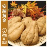 画像: 安納黄金　Lサイズ(2箱セット)  【2026年度ご予約開始】  