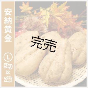 画像: 安納黄金　Lサイズ(2箱セット)  【今シーズンの受付は終了いたしました】  