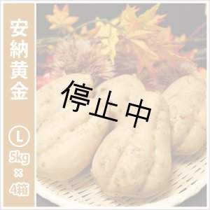 画像: 安納黄金 Lサイズ(4箱セット) 【停止中】