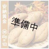 画像: 安納黄金　Mサイズ   【2026年度ご予約開始】  