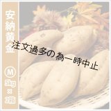 画像: 安納黄金　Mサイズ(2箱セット)   【2025年度のご予約受付中】  