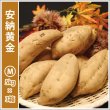 画像1: 安納黄金　Mサイズ(3箱セット)  【今シーズンの受付は終了いたしました。】   (1)