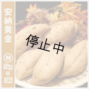 画像: 安納黄金 Mサイズ(3箱セット) 【停止中】