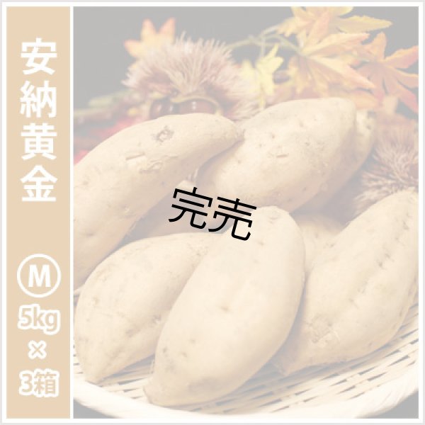 画像1: 安納黄金　Mサイズ(3箱セット)<br><span class="red">【今シーズンの受付は終了いたしました】</span><br /> (1)