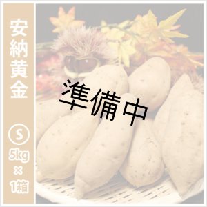 画像: 安納黄金　Sサイズ   【2026年度ご予約開始】  