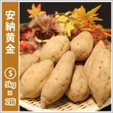 画像: 安納黄金　Sサイズ(2箱セット)   【2026年度ご予約開始】  