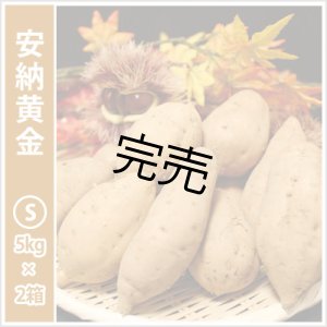 画像: 安納黄金　Sサイズ(2箱セット)   【今シーズンの受付は終了いたしました】  