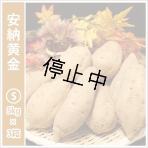 画像: 安納黄金 Sサイズ(3箱セット) 【停止中】