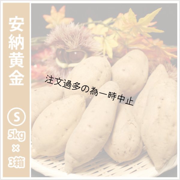 画像1: 安納黄金　Sサイズ(3箱セット) <br><span class="red">【2025年度のご予約受付中】</span><br /> (1)