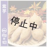 画像: 紫芋　S〜Lサイズミックス  【今期は販売中止】  