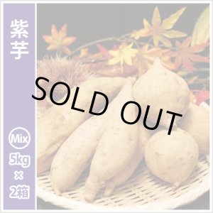画像: 紫芋　S〜Lサイズミックス(2箱セット)  【2024年度のご予約スタート！お届けは12月初旬予定！】  