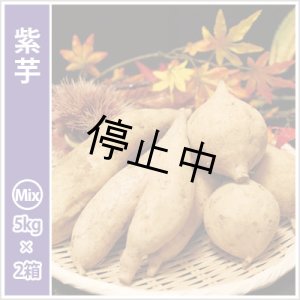 画像: 紫芋　S〜Lサイズミックス(2箱セット)  【今期は販売中止】  