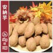 画像1: 安納芋　コロコロ2Sサイズ(2箱セット)   【2024年度のご予約スタート！お届けは12月初旬予定！】   (1)