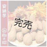 画像: 安納芋　コロコロ2Sサイズ(3箱セット)   【2025年度ご注文受付中】  