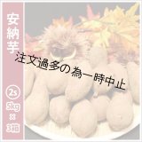 画像: 安納芋　コロコロ2Sサイズ(3箱セット)   【2025年度のご予約受付中】  