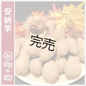 画像: 安納芋　コロコロ2Sサイズ(3箱セット)   【2025年度ご注文受付中】  