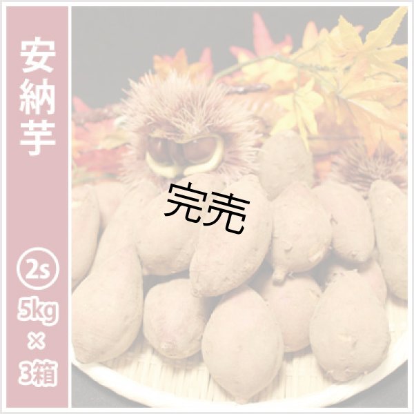 画像1: 安納芋　コロコロ2Sサイズ(3箱セット) <br><span class="red">【今シーズンの受付は終了いたしました】</span><br /> (1)