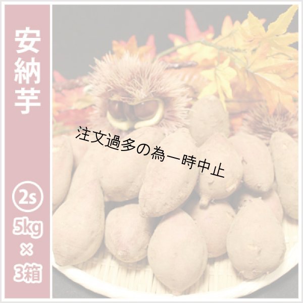 画像1: 安納芋　コロコロ2Sサイズ(3箱セット) <br><span class="red">【2025年度のご予約受付中】</span><br /> (1)