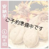画像: 安納芋　Lサイズ(2箱セット)   【2025年度のご予約開始まで今しばらくお待ちください】  