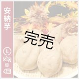 画像: 安納芋　Lサイズ(4箱セット)   【今シーズンの受付は終了いたしました】  