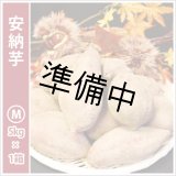 画像: 安納芋　Mサイズ  【2026年度ご予約開始】  
