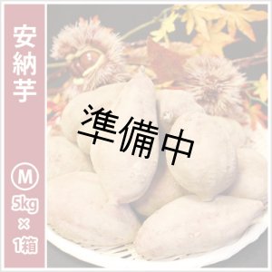 画像: 安納芋 Mサイズ 【2026年度ご予約開始】