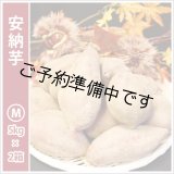 画像: 安納芋　Mサイズ(2箱セット)   【2025年度のご予約開始まで今しばらくお待ちください】  