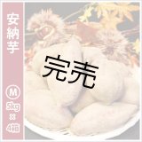 画像: 安納芋　Mサイズ(4箱セット)   【今シーズンの受付は終了いたしました】  