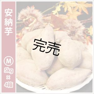 画像: 安納芋　Mサイズ(4箱セット)   【今シーズンの受付は終了いたしました】  