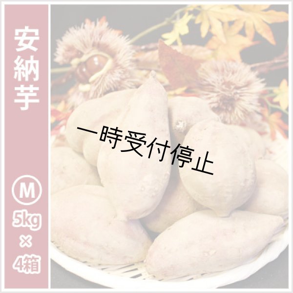 画像1: 安納芋　Mサイズ(4箱セット) <br><span class="red">【2024年度のご予約スタート！お届けは12月初旬予定！】</span><br /> (1)