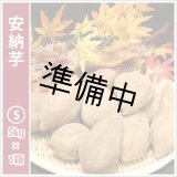 画像: 安納芋　Sサイズ　  【2026年度ご予約開始】  