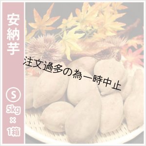 画像: 安納芋　Sサイズ　  【2025年度のご予約受付中】  