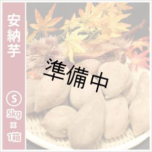 画像: 安納芋 Sサイズ 【2026年度ご予約開始】