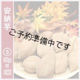 画像: 安納芋　Sサイズ(2箱セット)  【2025年度のご予約開始まで今しばらくお待ちください】  