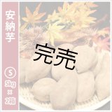 画像: 安納芋　Sサイズ(2箱セット)  【今シーズンの受付は終了いたしました】  